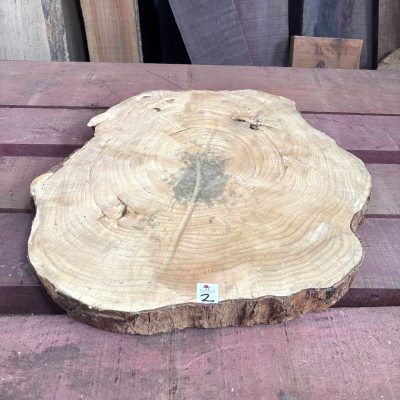 Sycamore (South African) Cookie 610x610x70 mm