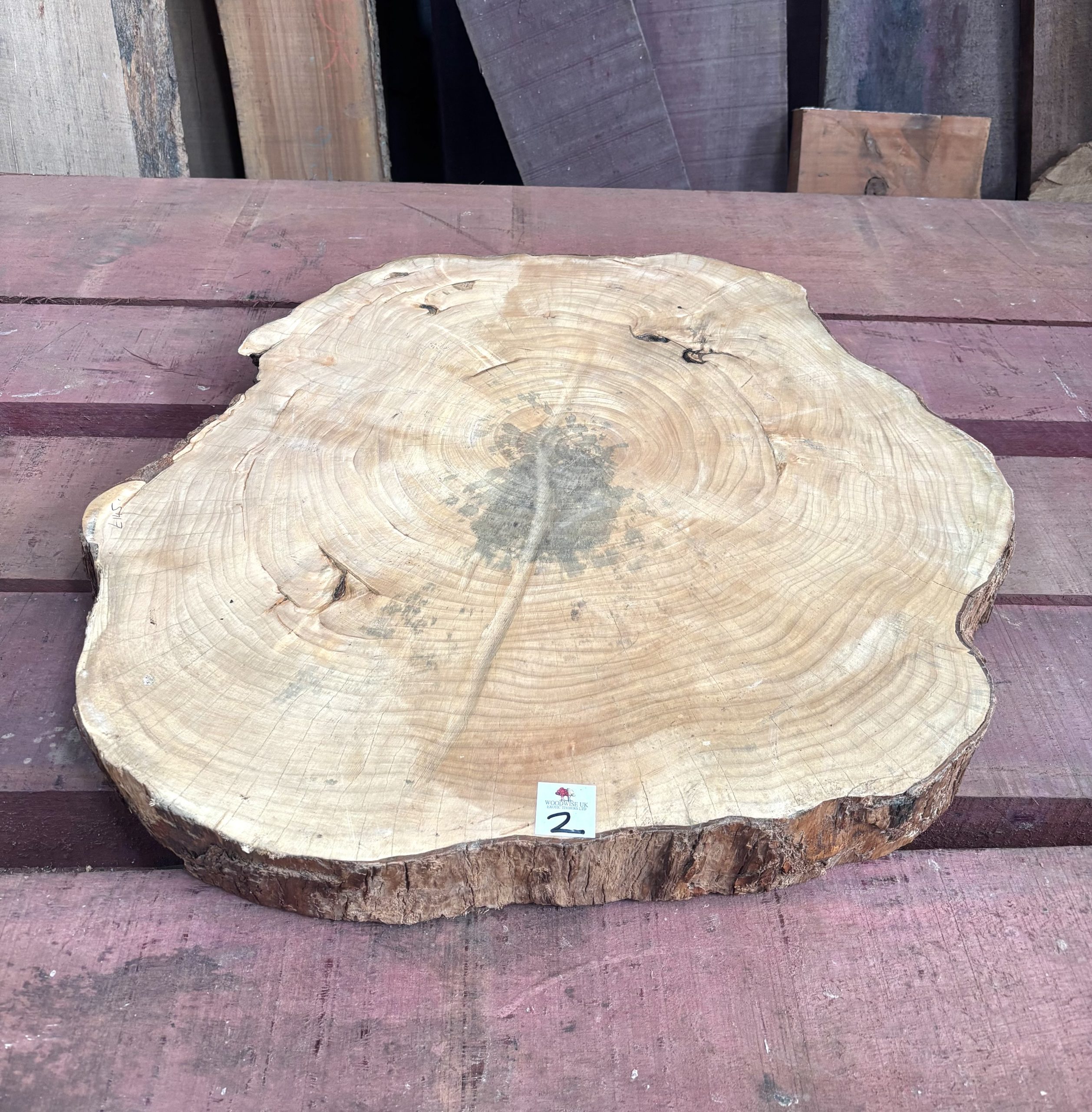 Sycamore (South African) Cookie 610x610x70 mm