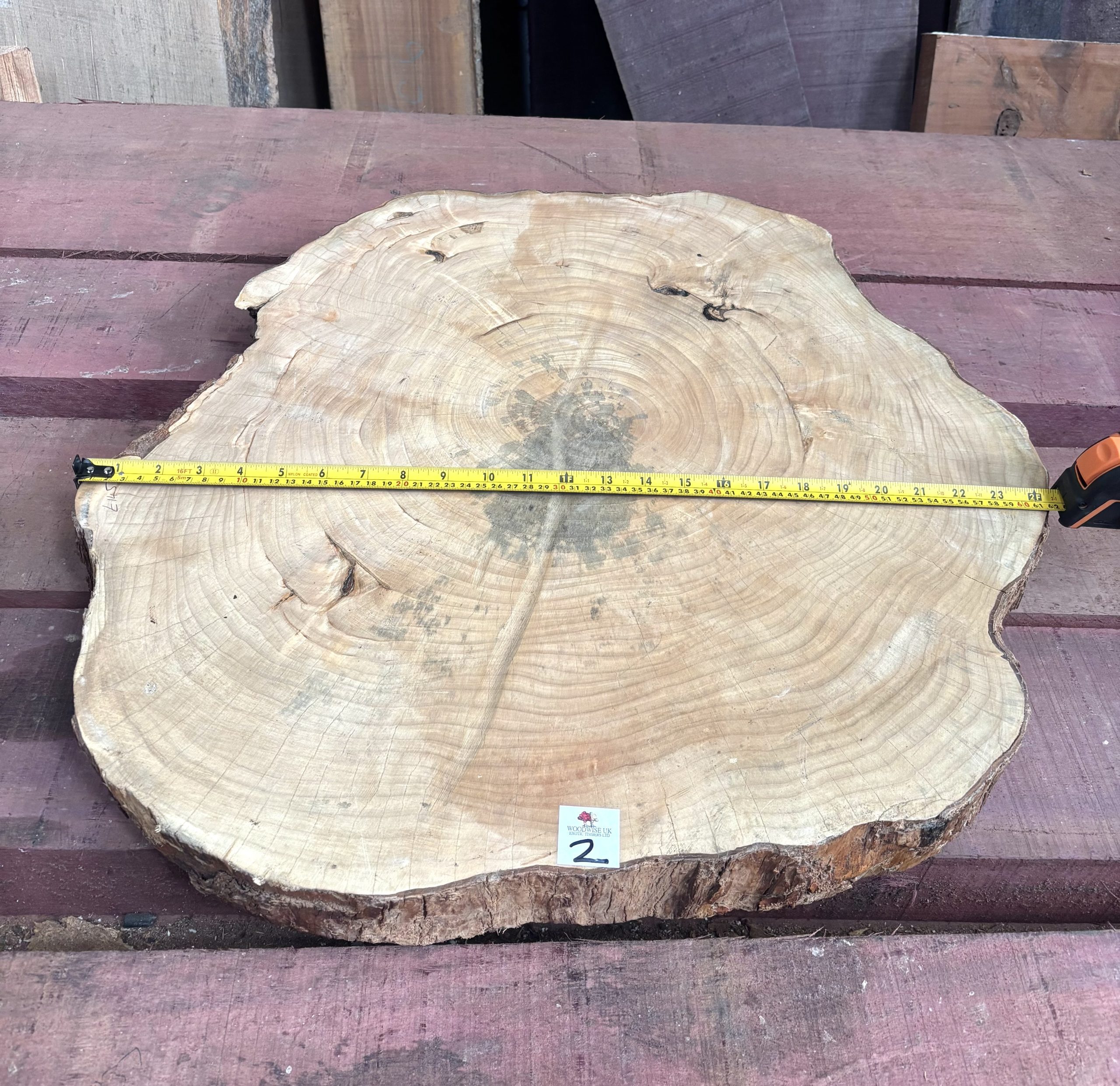 Sycamore (South African) Cookie 610x610x70 mm