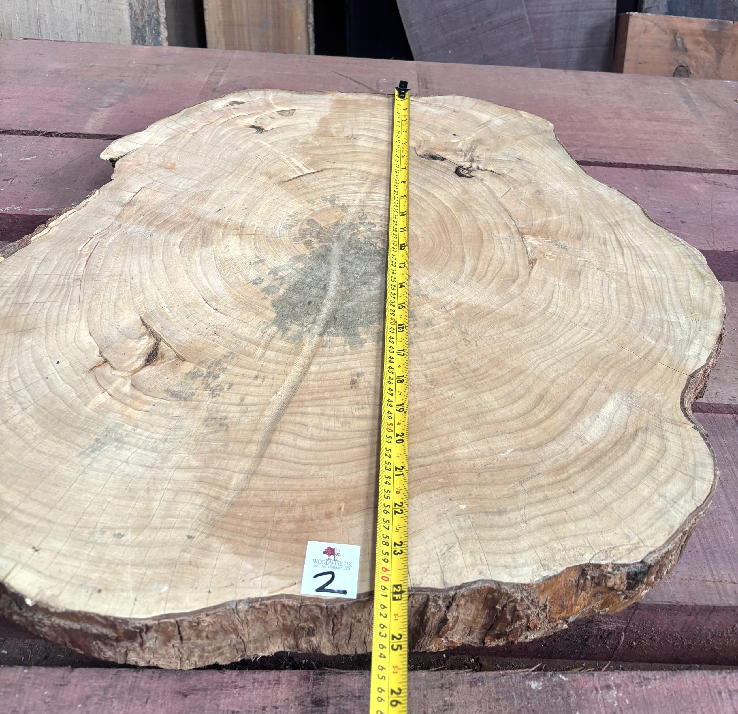 Sycamore (South African) Cookie 610x610x70 mm