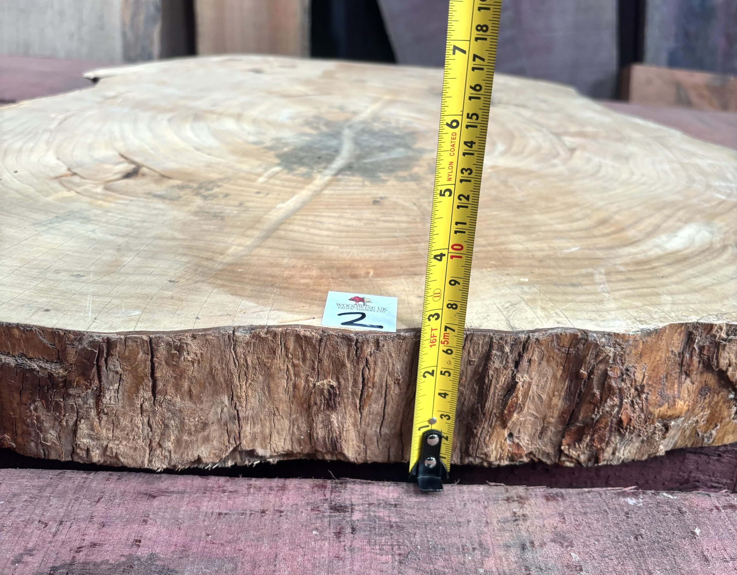 Sycamore (South African) Cookie 610x610x70 mm