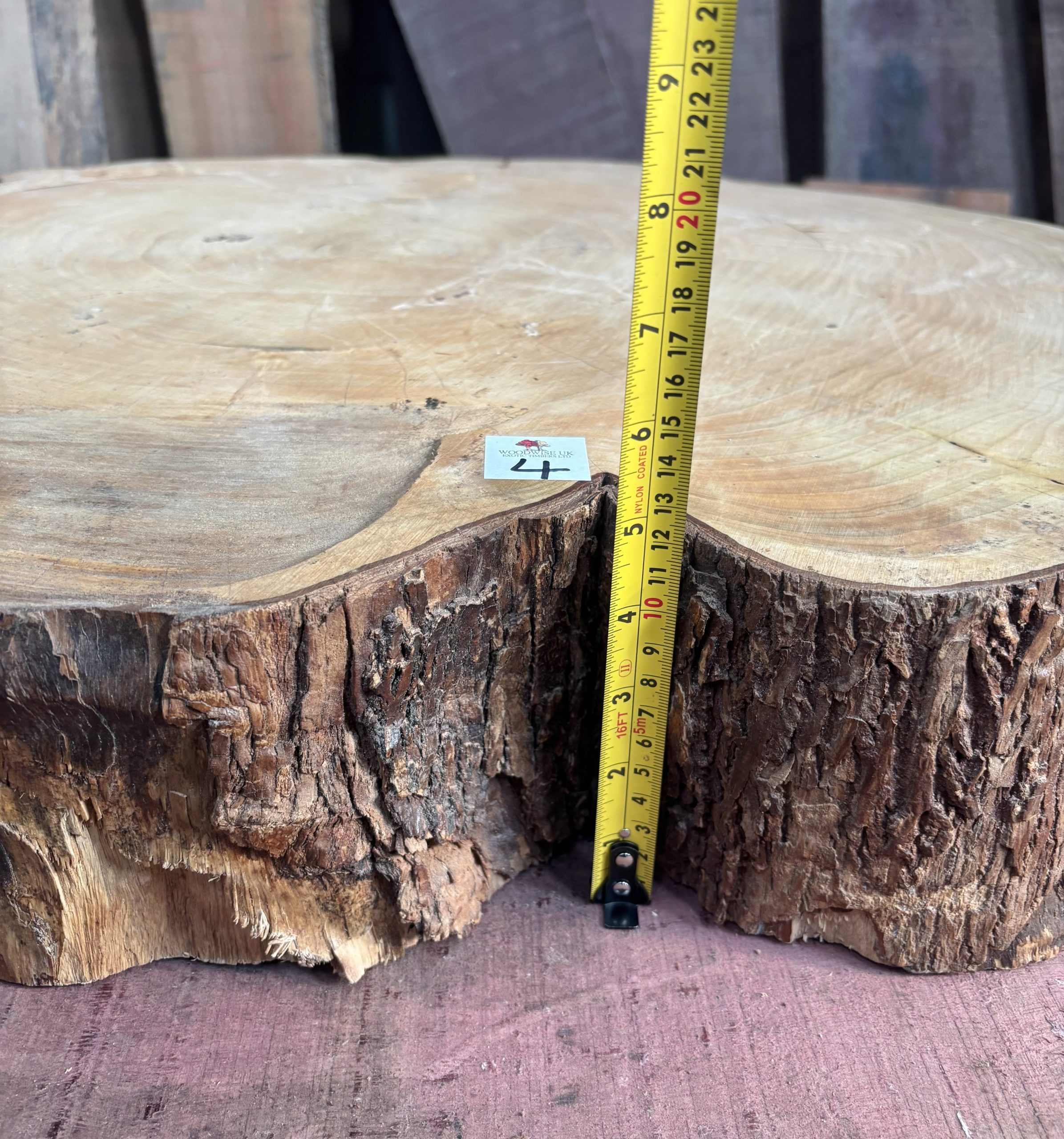 Sycamore (South African) Cookie 750x600x125 mm