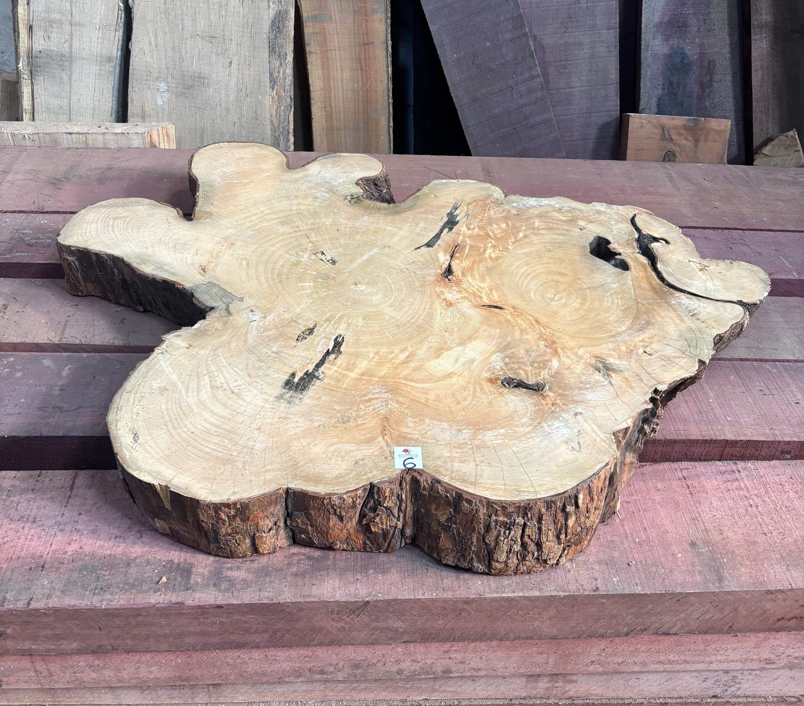 Sycamore (South African) Cookie 1070x800x110 mm