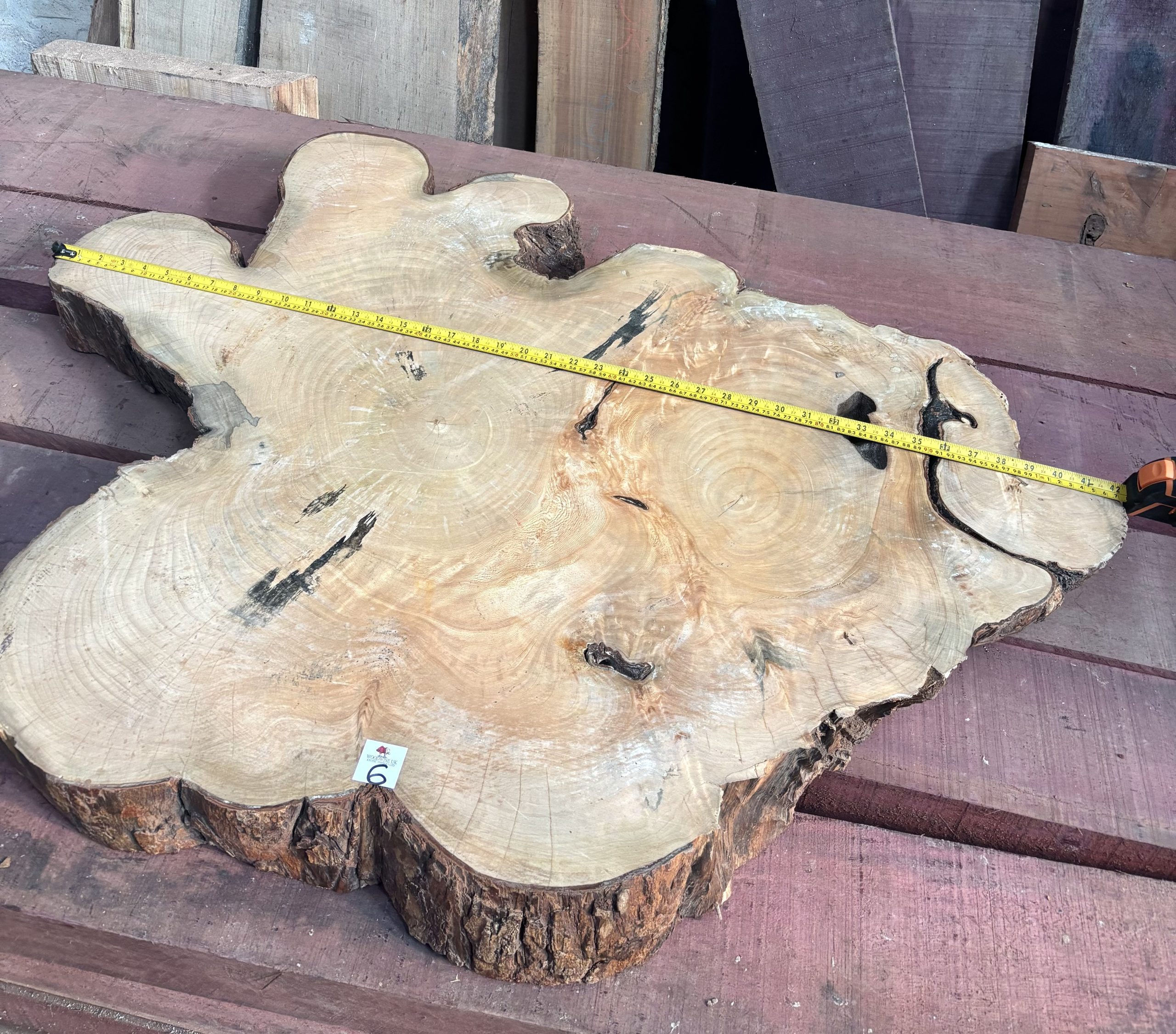 Sycamore (South African) Cookie 1070x800x110 mm