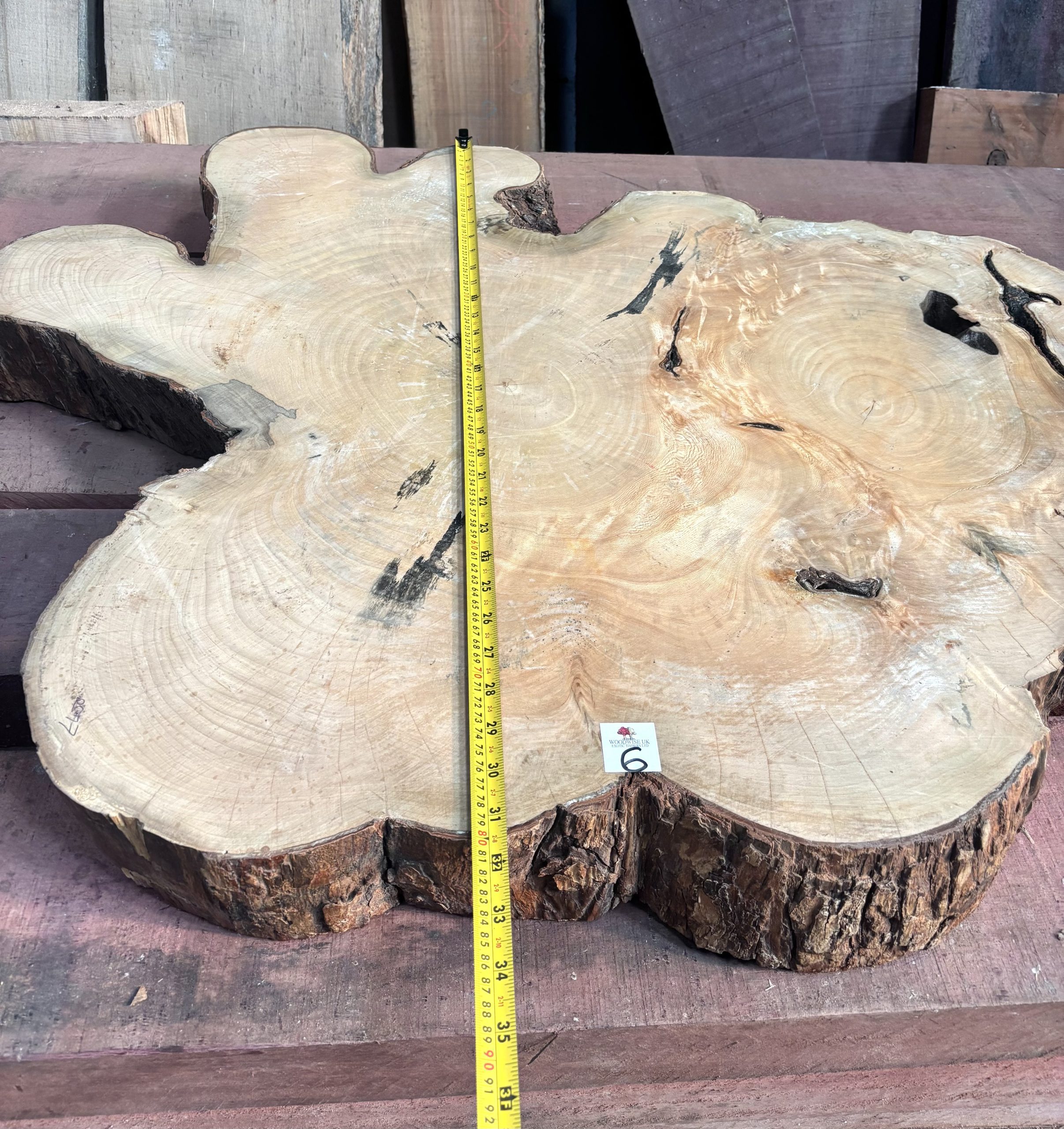 Sycamore (South African) Cookie 1070x800x110 mm