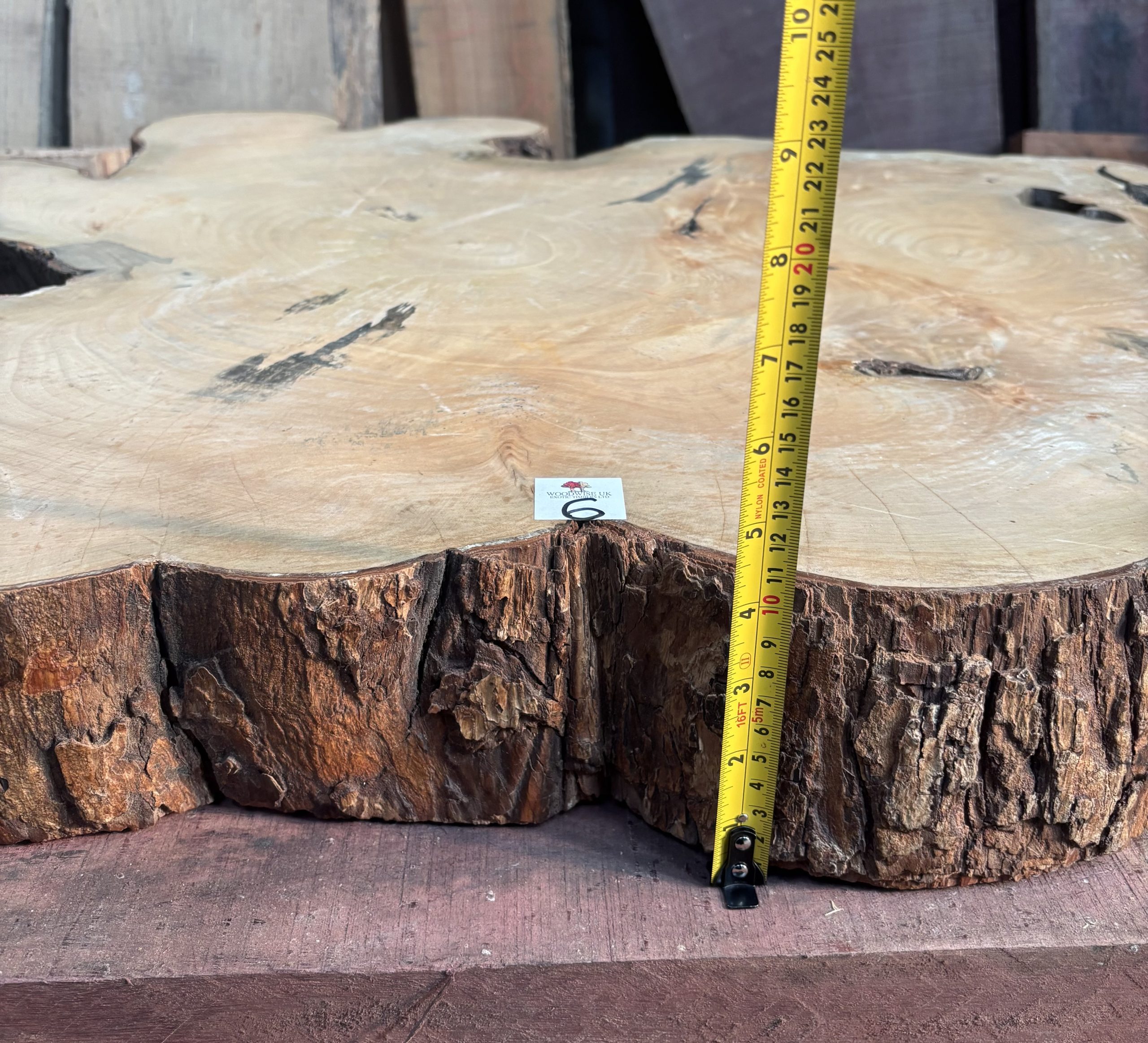 Sycamore (South African) Cookie 1070x800x110 mm