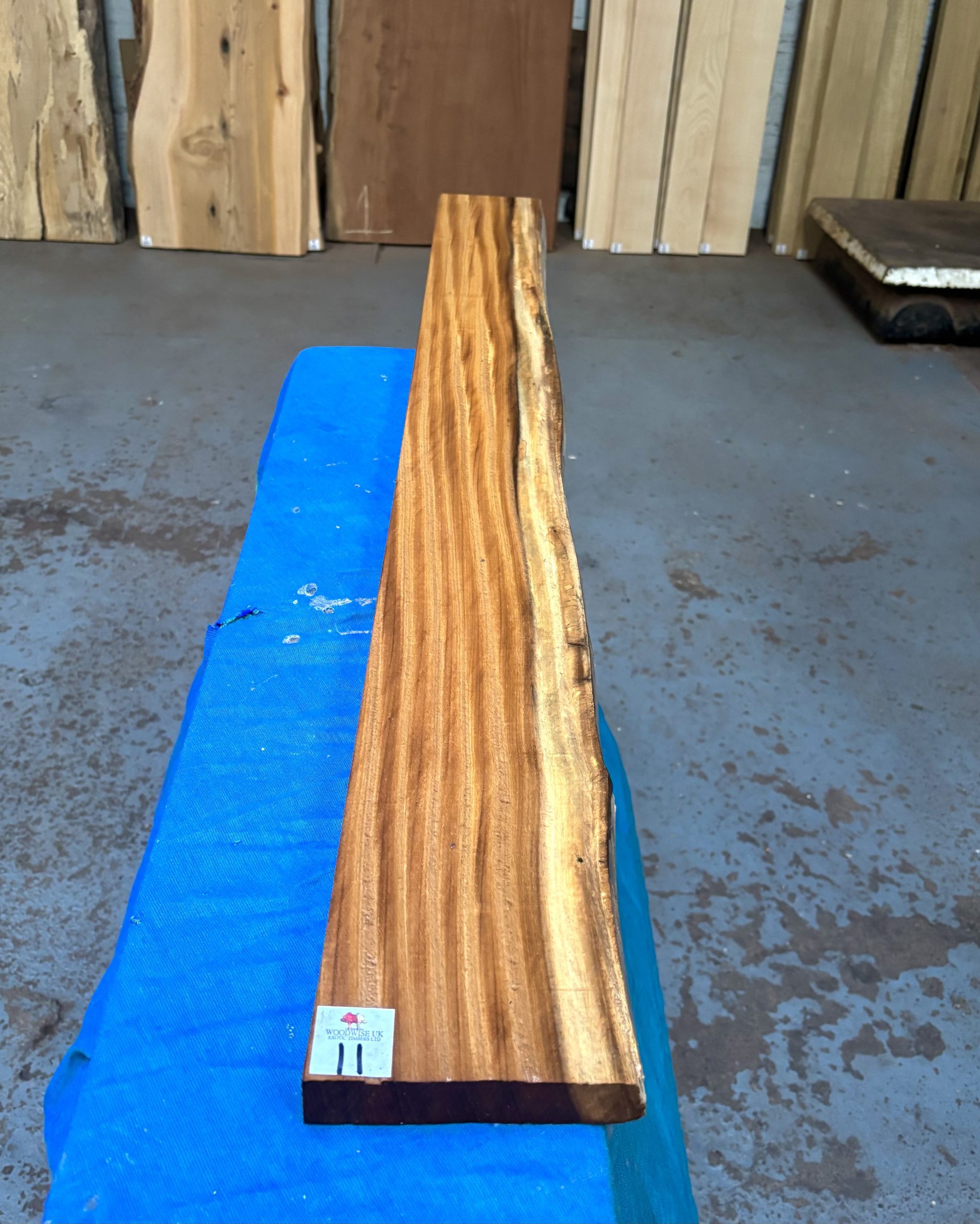 Afrormosia 1215x125x26 mm