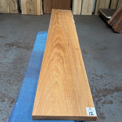 Red Elm 1240x200x23 mm