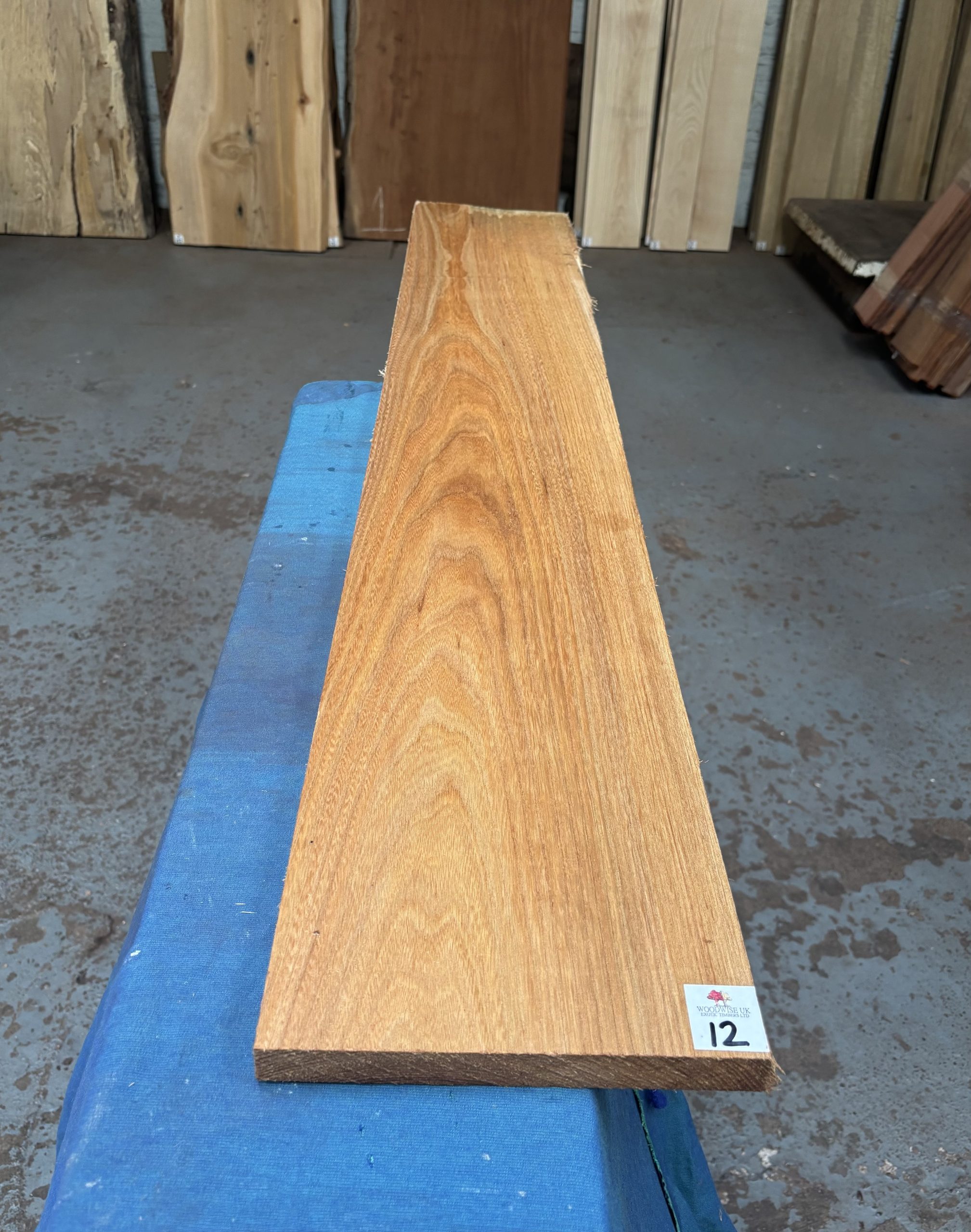 Red Elm 1240x200x23 mm