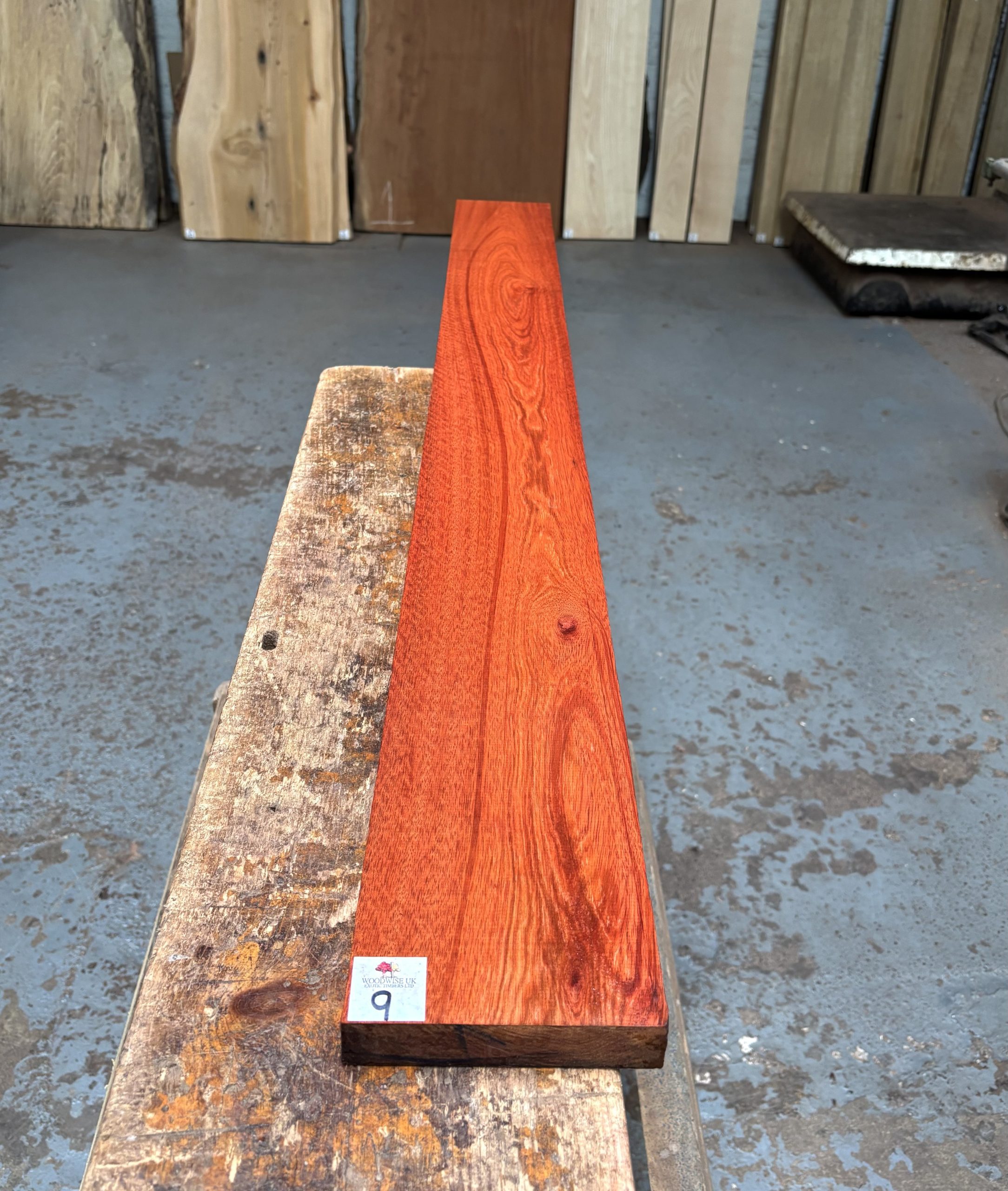 Bloodwood 1275x125x26 mm