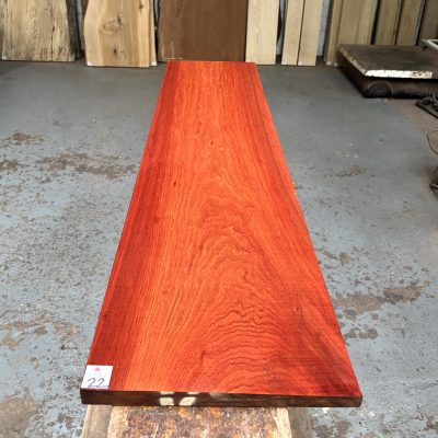 Bloodwood 1270x300x20 mm