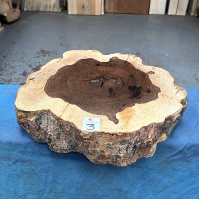 Leadwood Cookie 350x290x80 mm