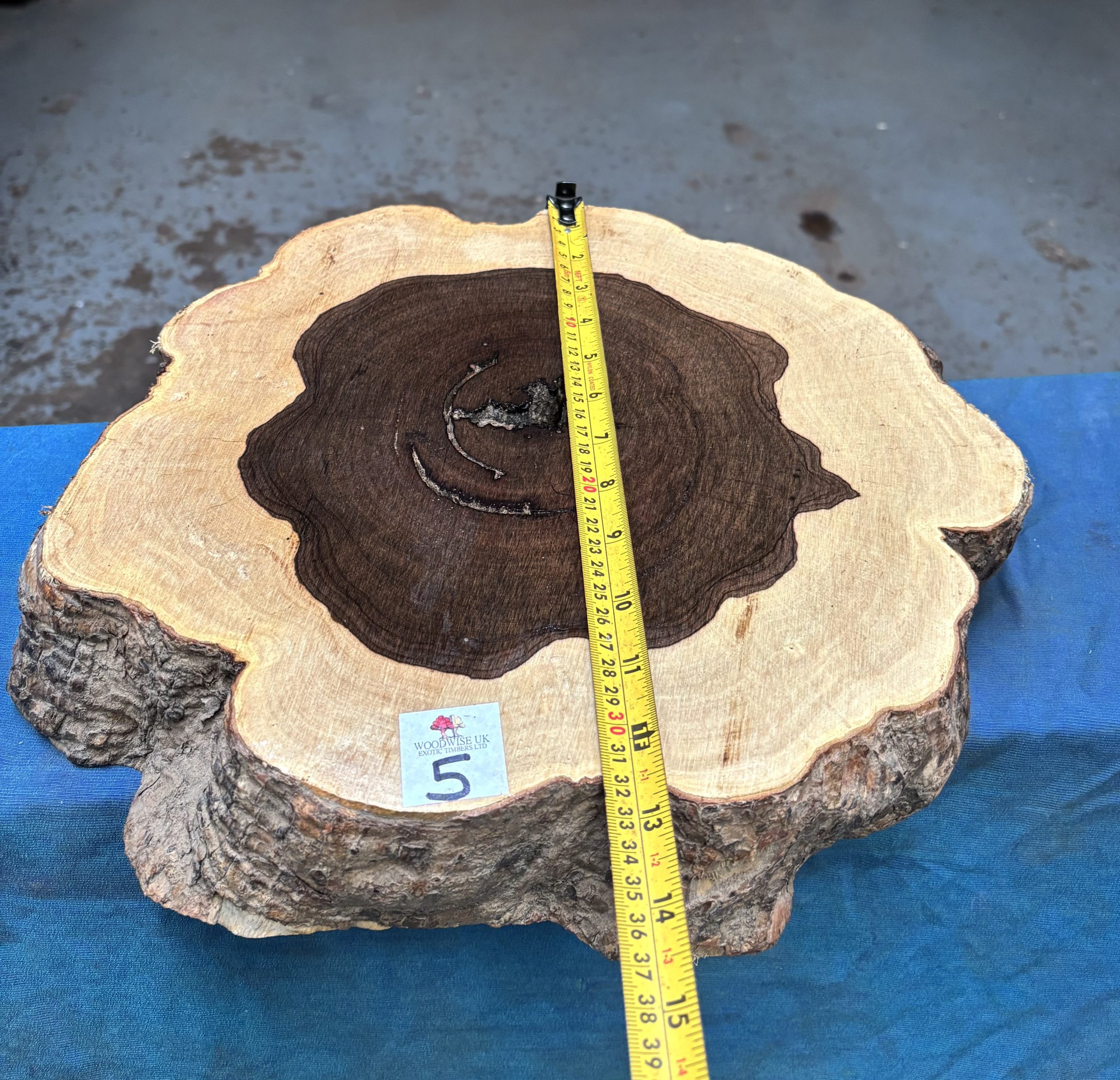 Leadwood Cookie 350x310x70 mm