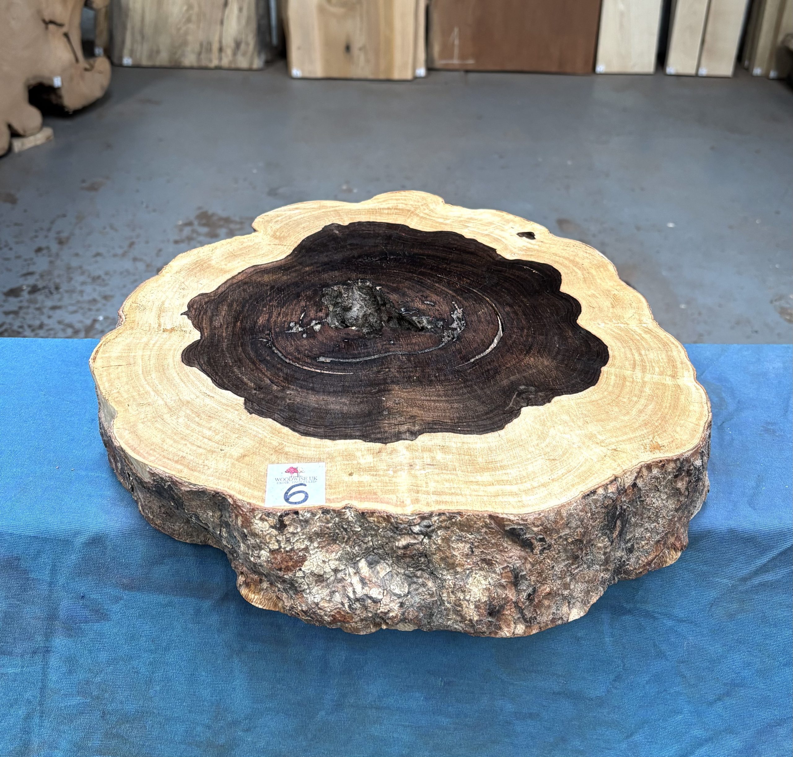 Leadwood Cookie 370x390x75 mm