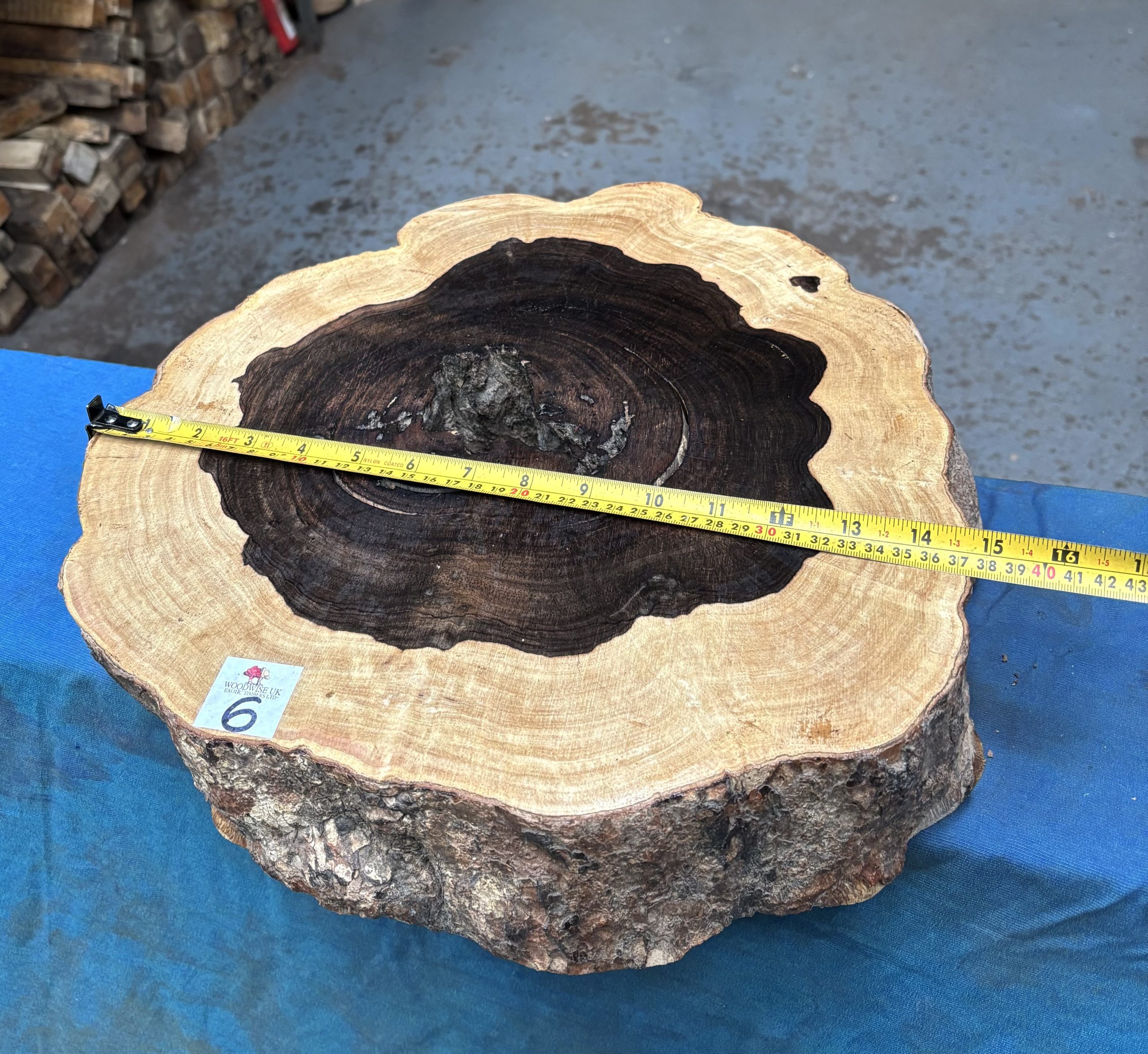 Leadwood Cookie 370x390x75 mm