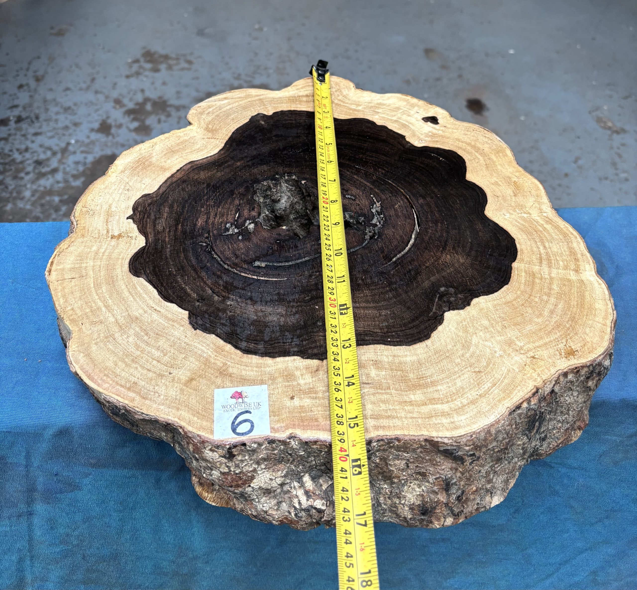 Leadwood Cookie 370x390x75 mm