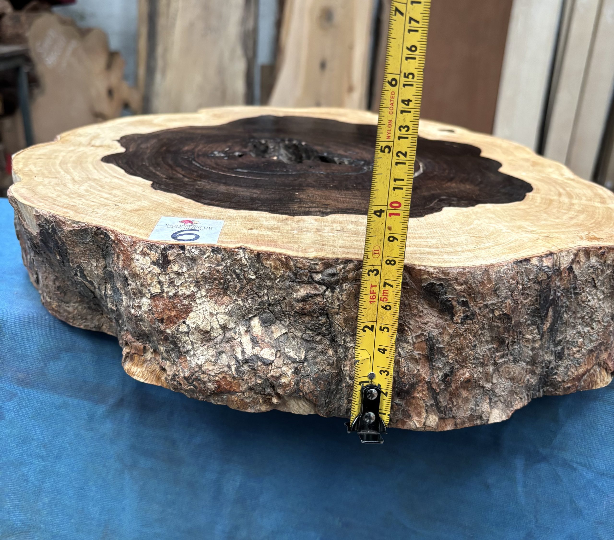 Leadwood Cookie 370x390x75 mm