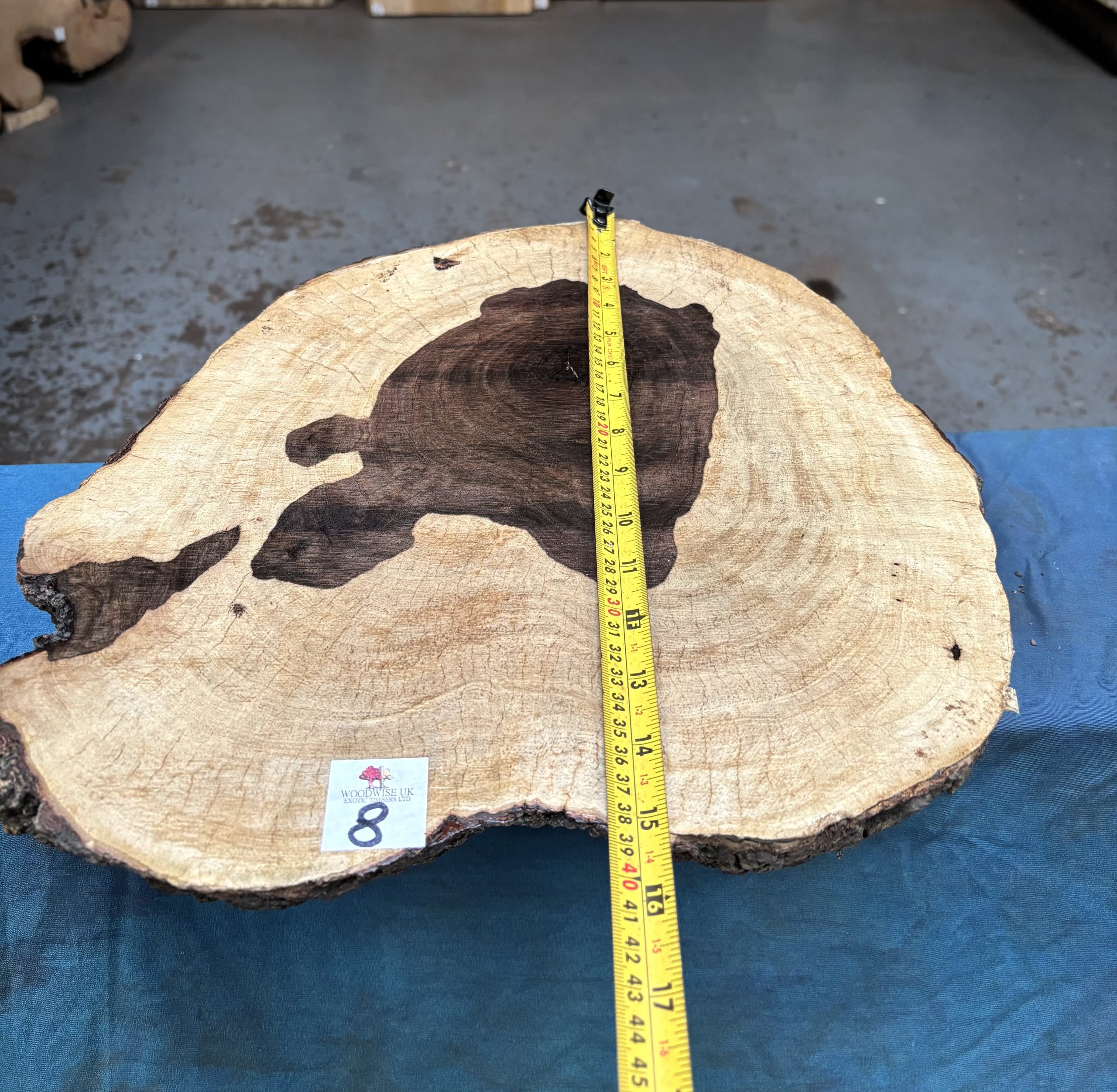 Leadwood Cookie 370x380x105 mm