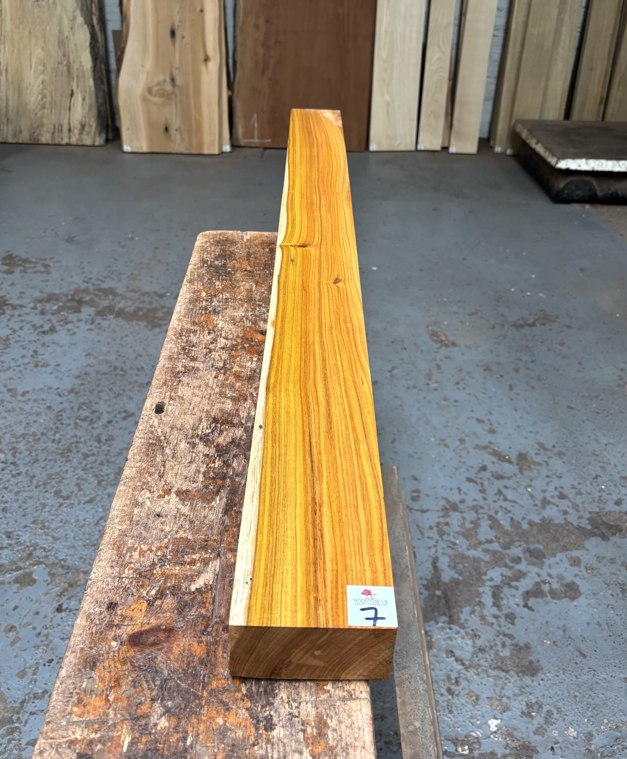 Canarywood 1270x100x53 mm