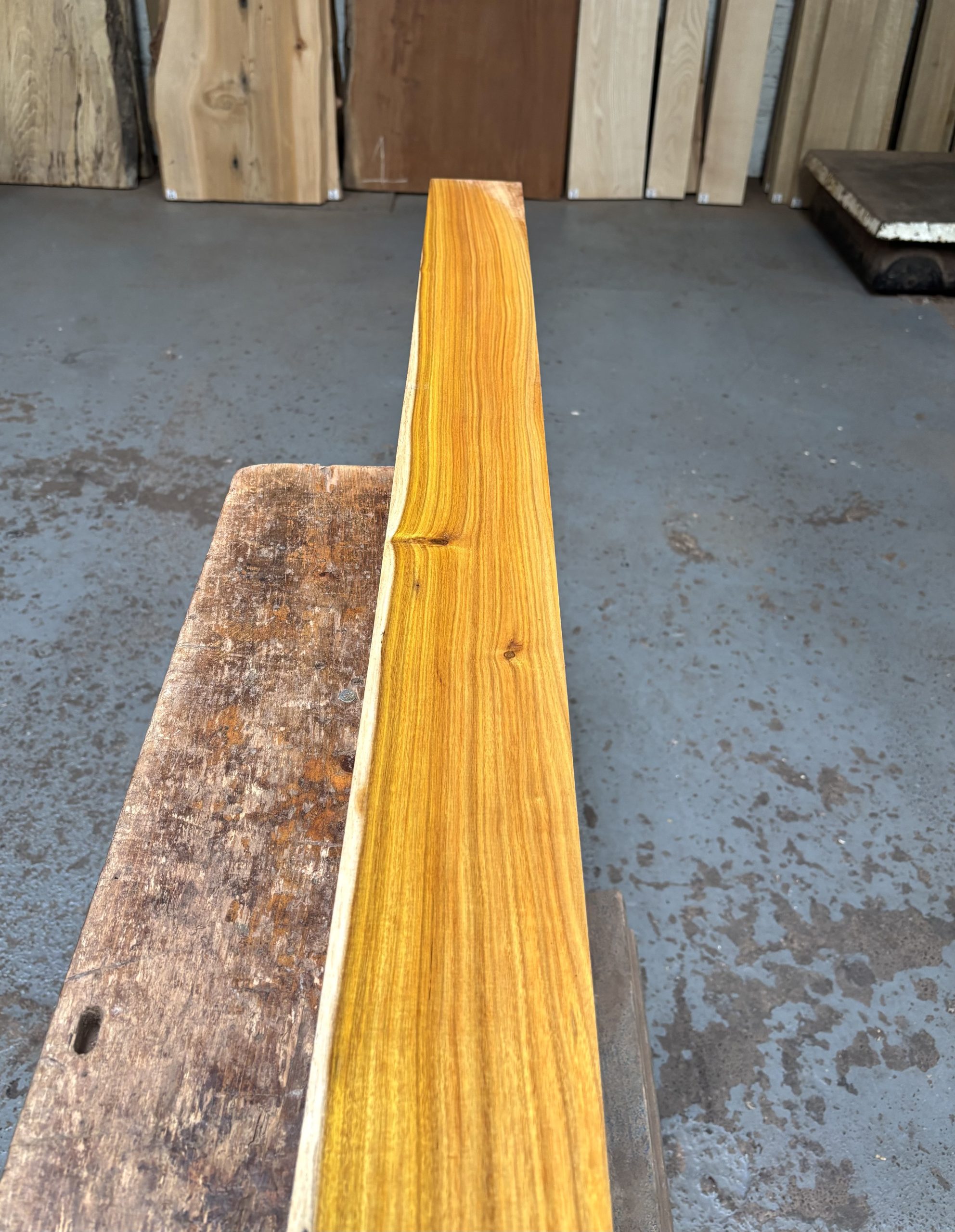 Canarywood 1270x100x53 mm