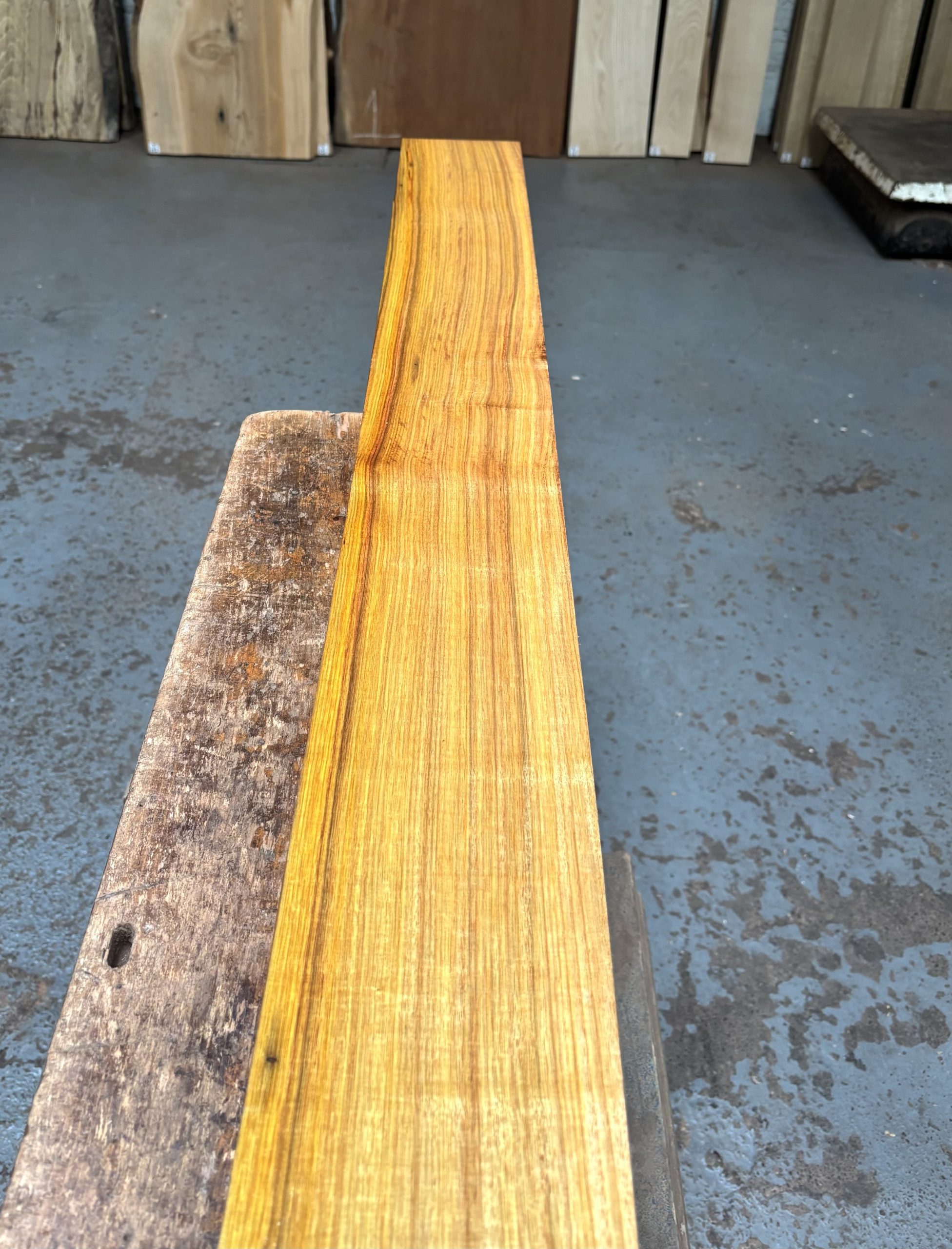 Canarywood 1255x128x50 mm
