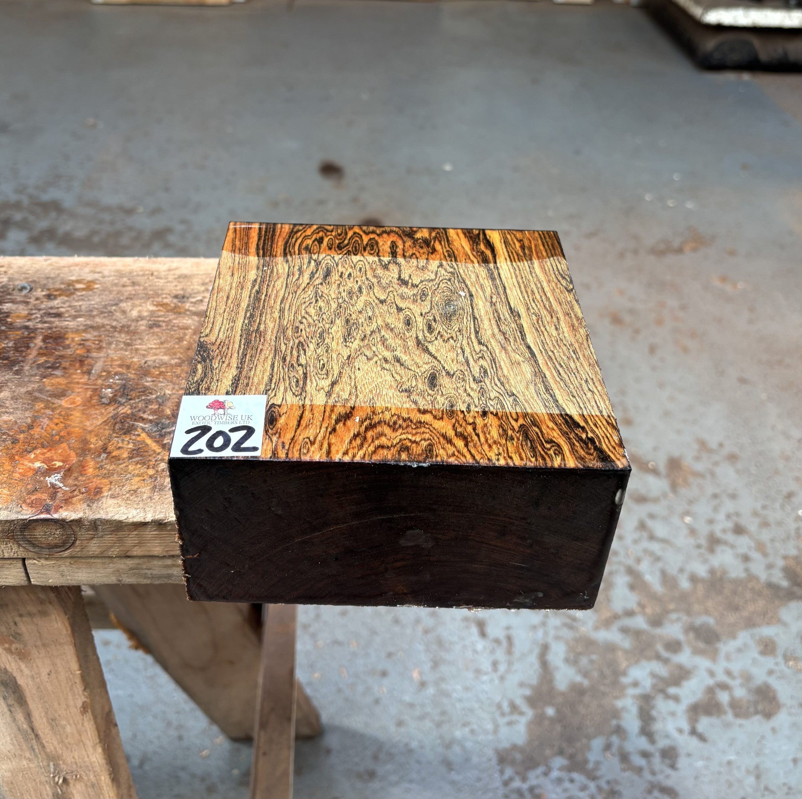 Bocote 6x6x3 Inches