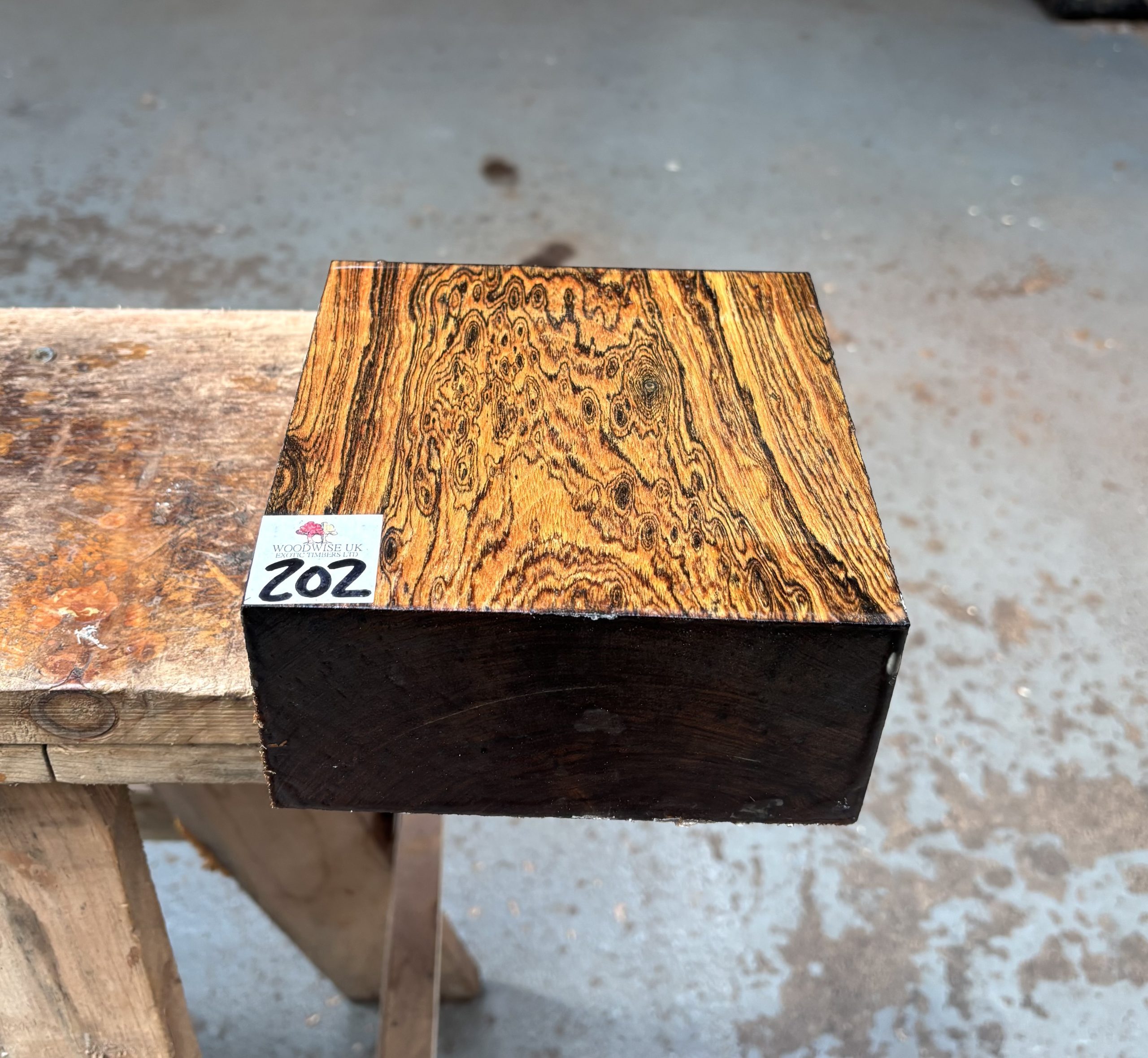 Bocote 6x6x3 Inches