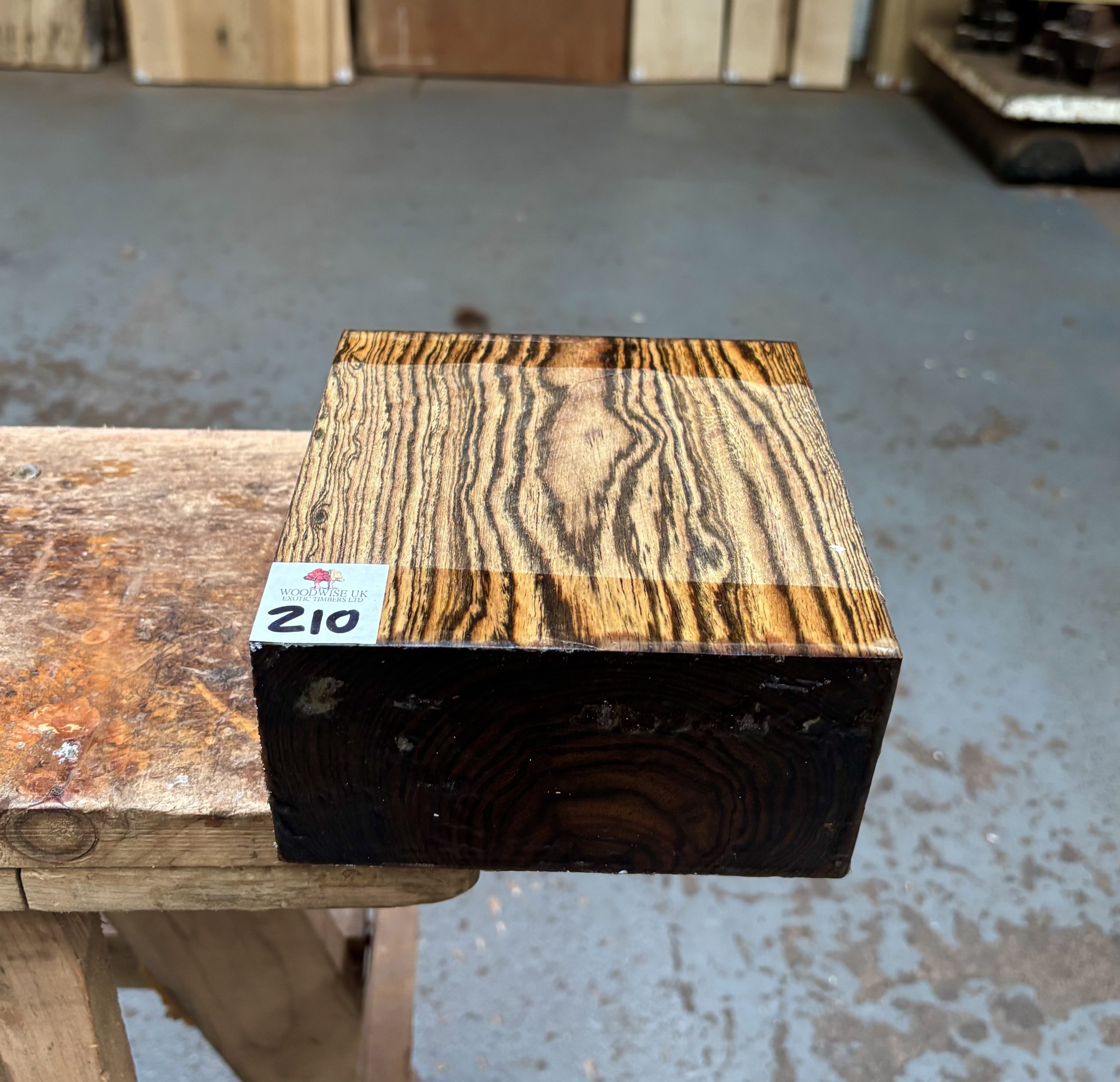 Bocote 6x6x3 Inches