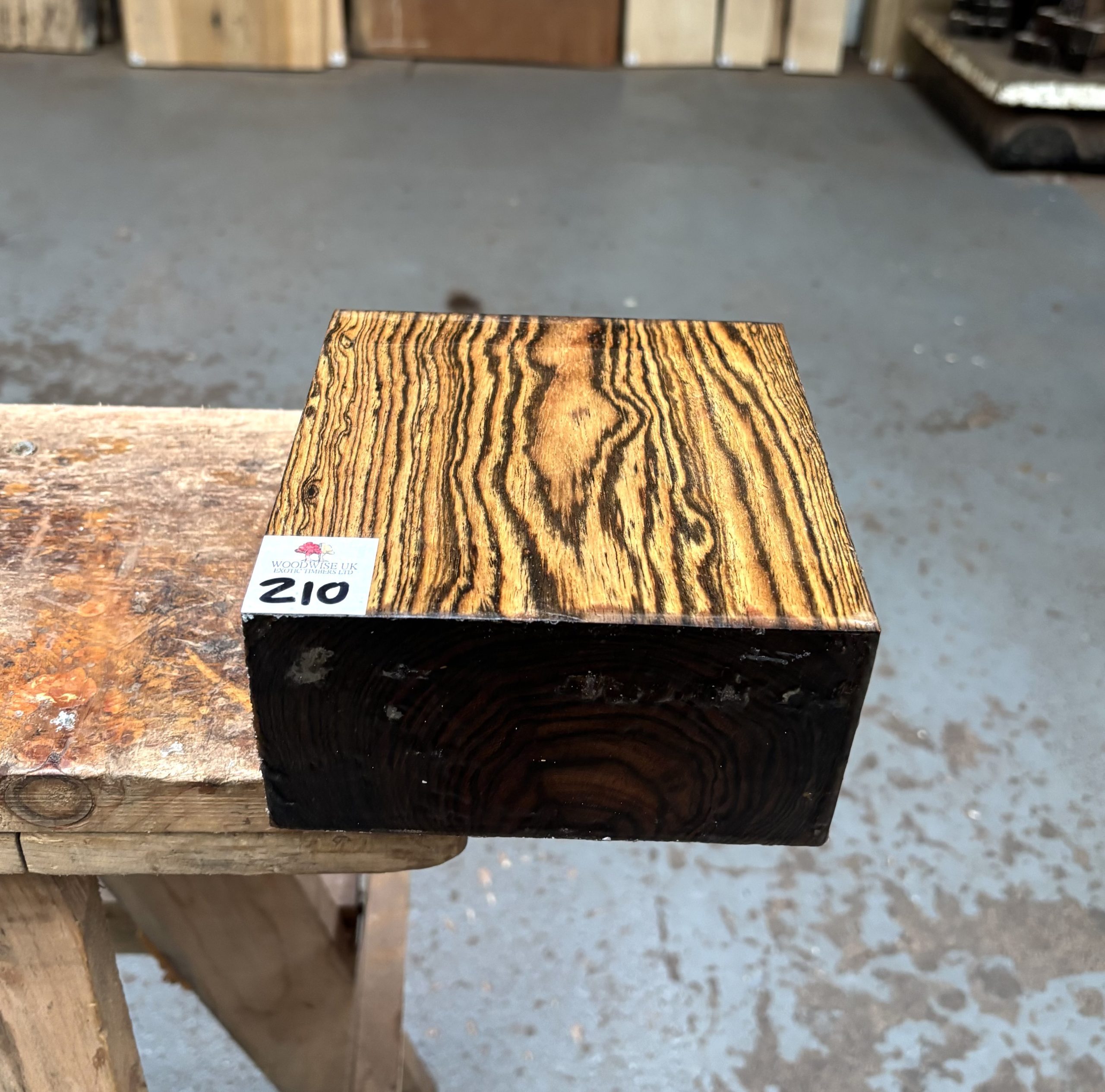 Bocote 6x6x3 Inches