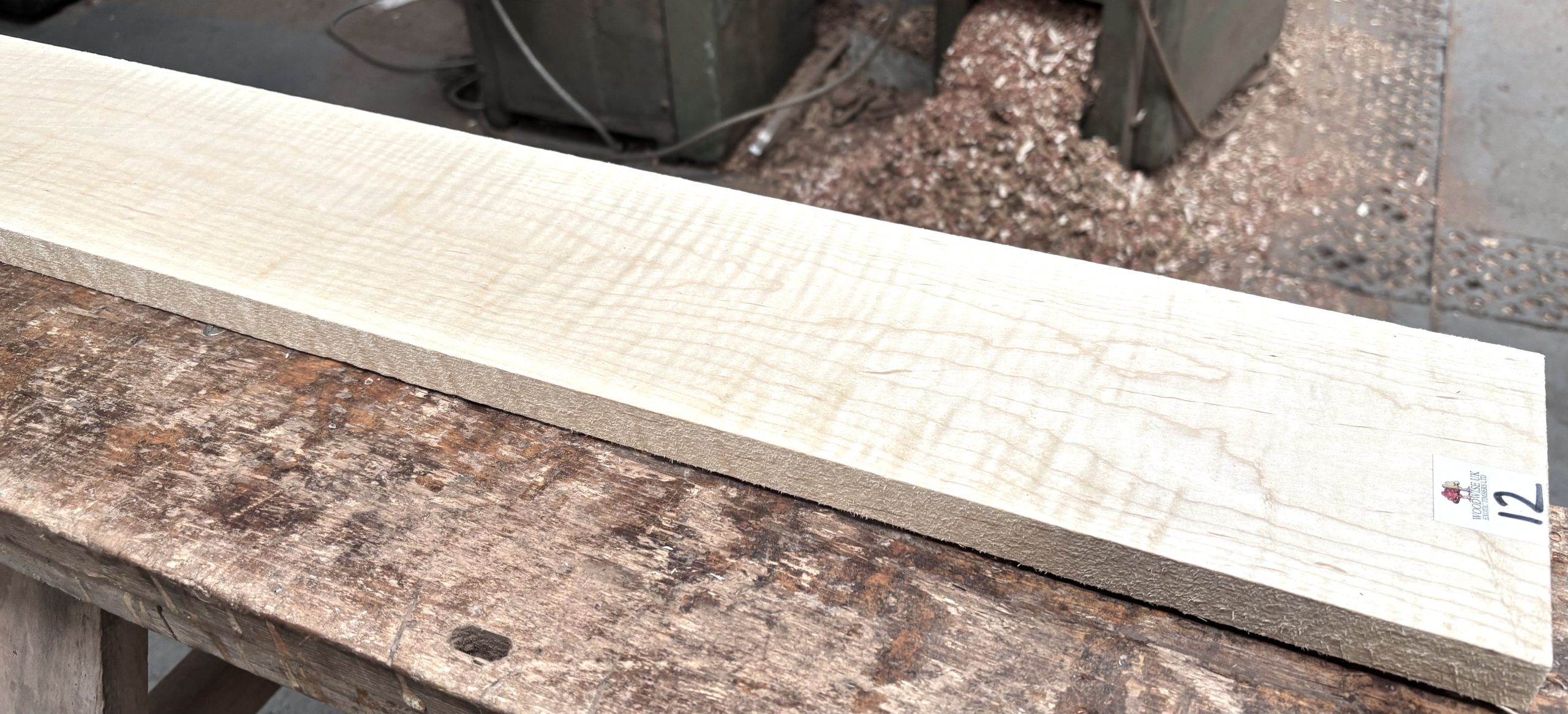 Curly Maple 1030x140x21 mm