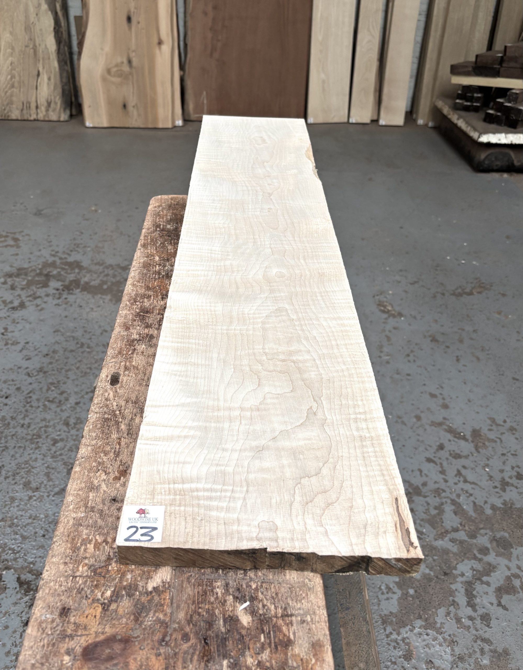 Curly Maple 1005x215x22 mm