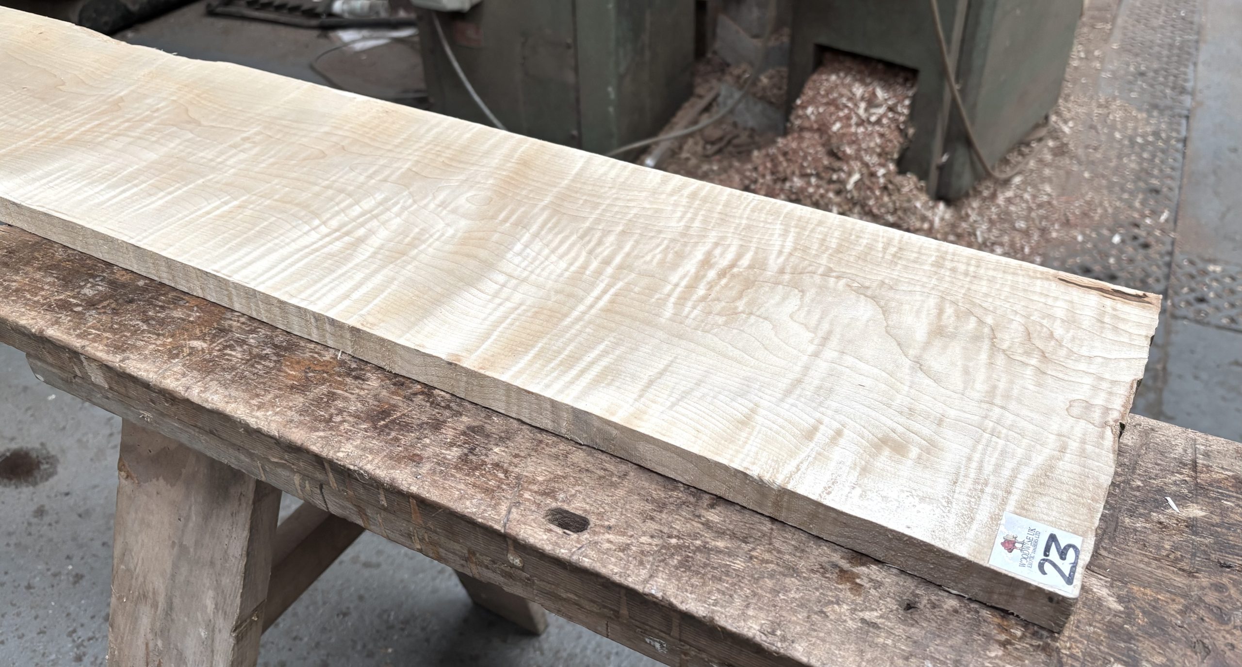 Curly Maple 1005x215x22 mm