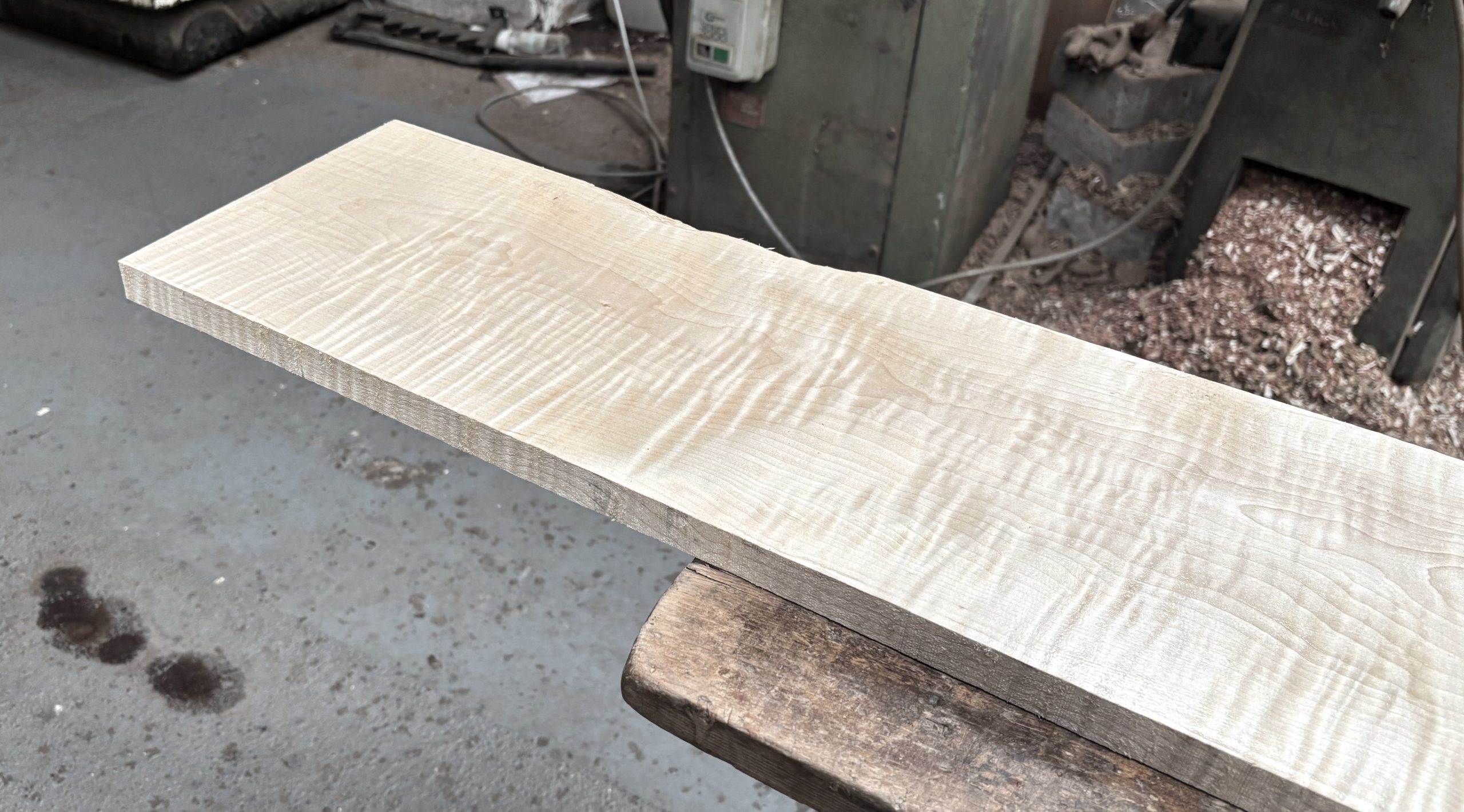 Curly Maple 1005x215x22 mm