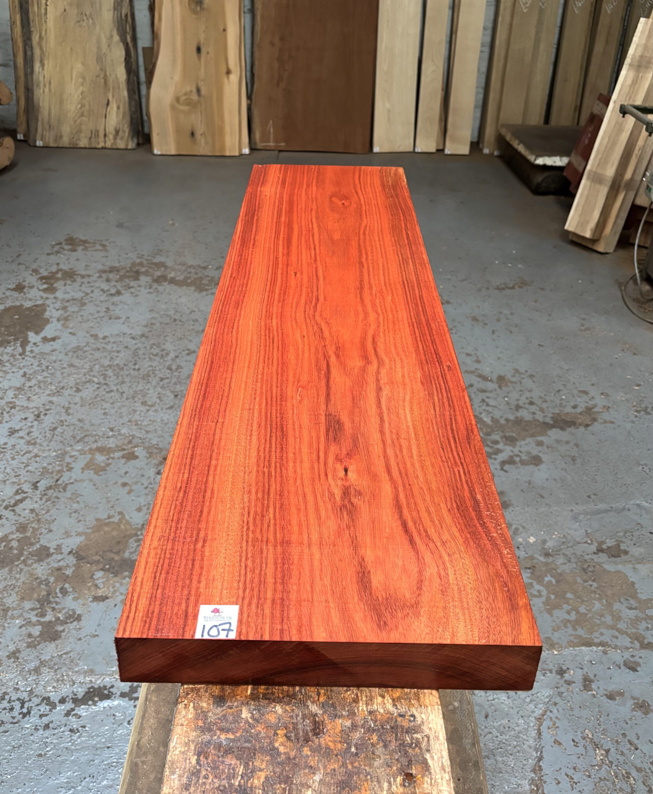 Bloodwood 1190x320x52 mm
