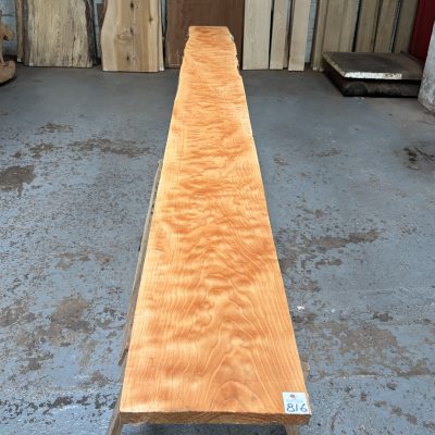 Quilted Maple 2460x245x23 mm