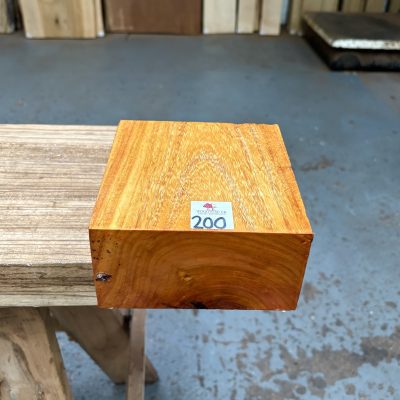 Osage Orange 6x6x3 Inches