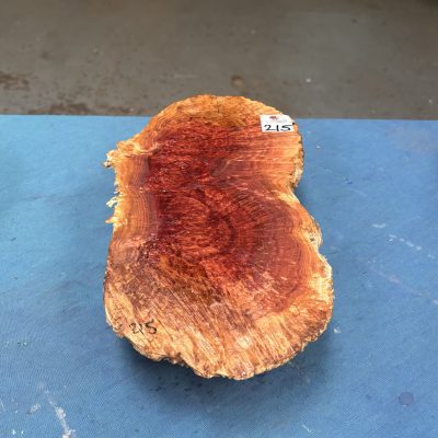 Red Mallee Burl 12x6.5x3 Inches