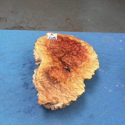 Red Mallee Burl 9.5x7x2.75 Inches