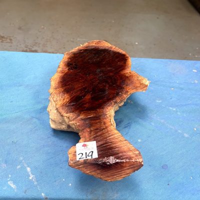 Red Mallee Burl 14x8x2.5 Inches