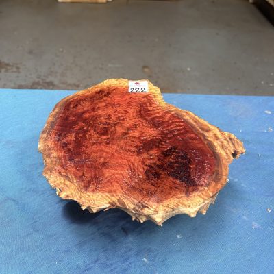 Red Mallee Burl 9.25x9x3.25 Inches