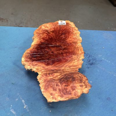 Red Mallee Burl 14x7x2.75 Inches