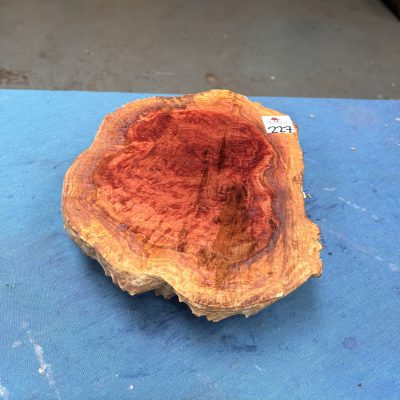 Red Mallee Burl 11x8x2.75 Inches