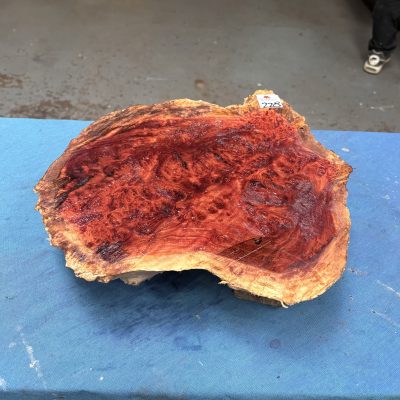 Red Mallee Burl 12.5x12.5x3.5 Inches