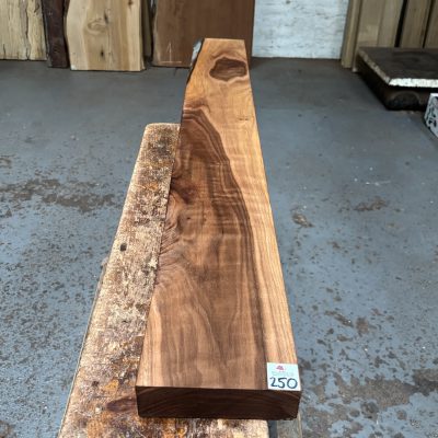 American Walnut 1270x155x48 mm