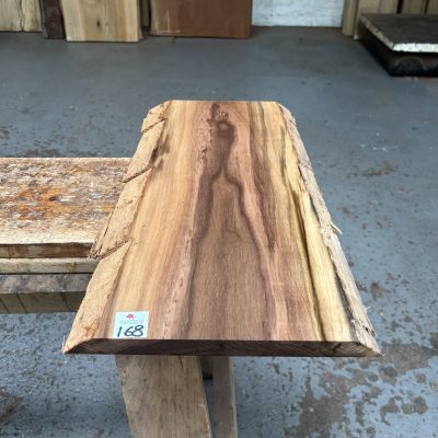 American Walnut 535x260x22 mm