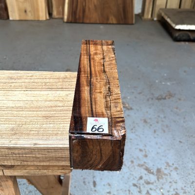 Indian Laurel 3x3x12 Inches