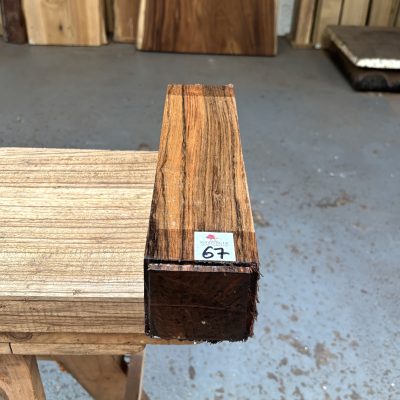 Indian Laurel 3x3x12 Inches