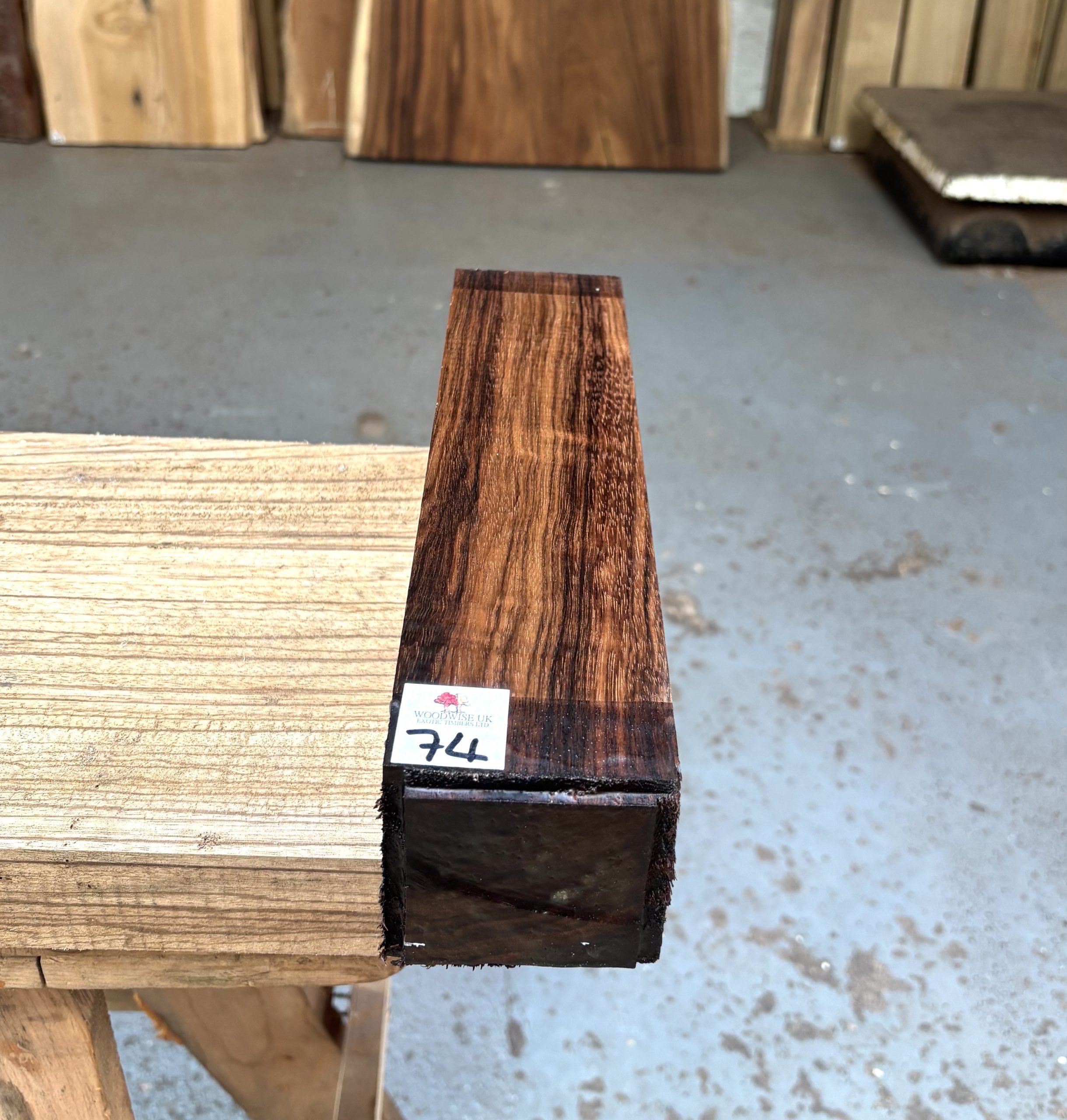 Indian Laurel 3x3x12 Inches