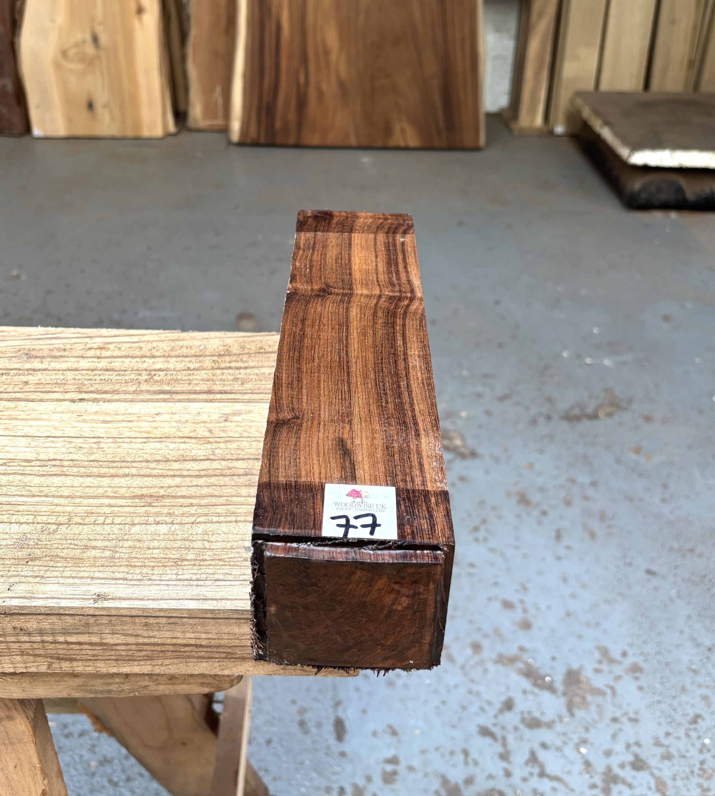 Indian Laurel 3x3x12 Inches
