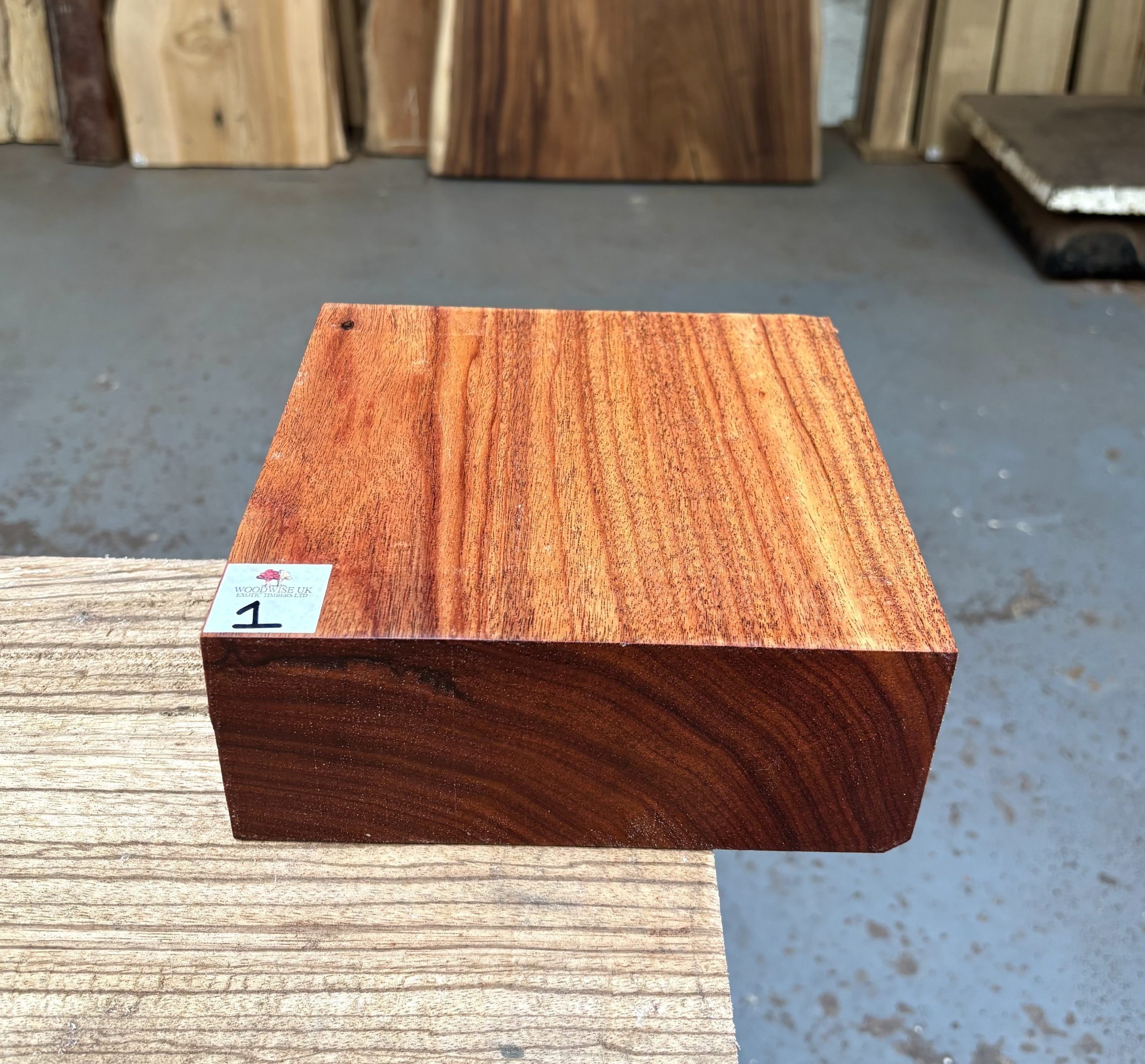 Macacauba 8x8x3 Inches